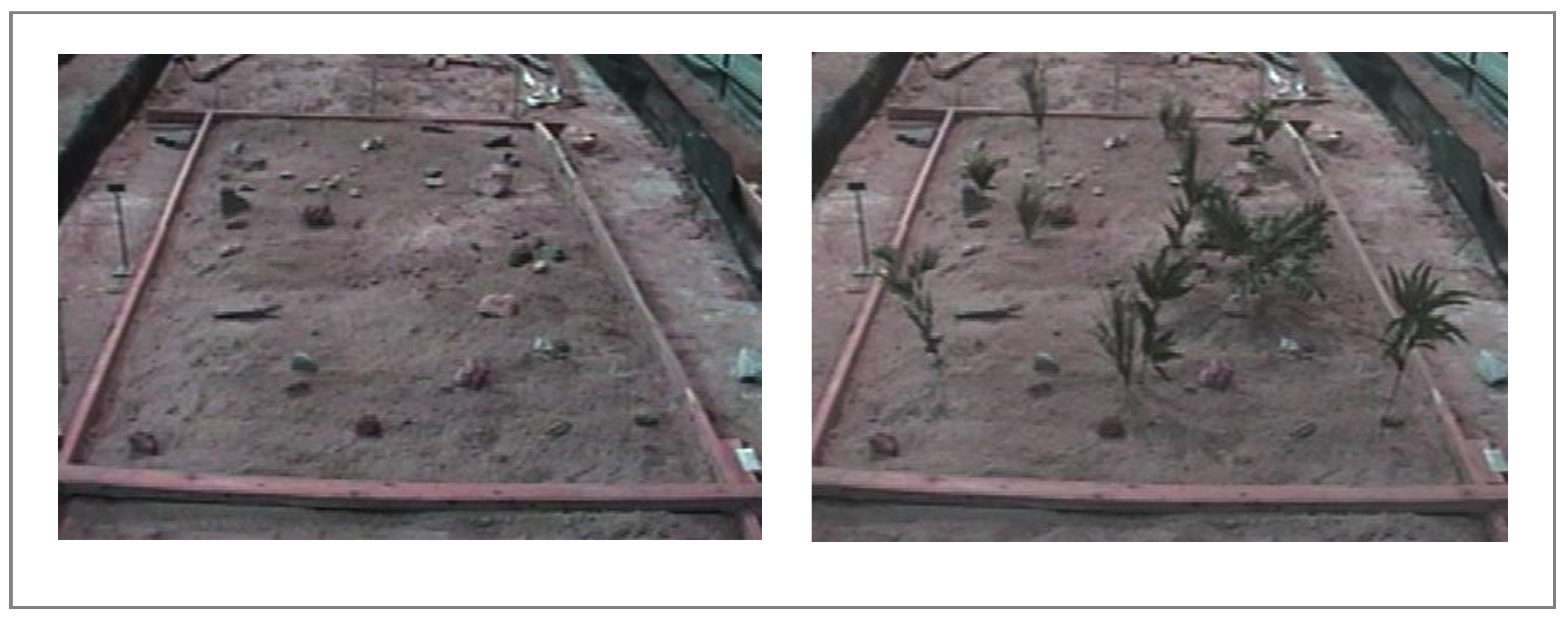 Remotesensing 02 02629 g003