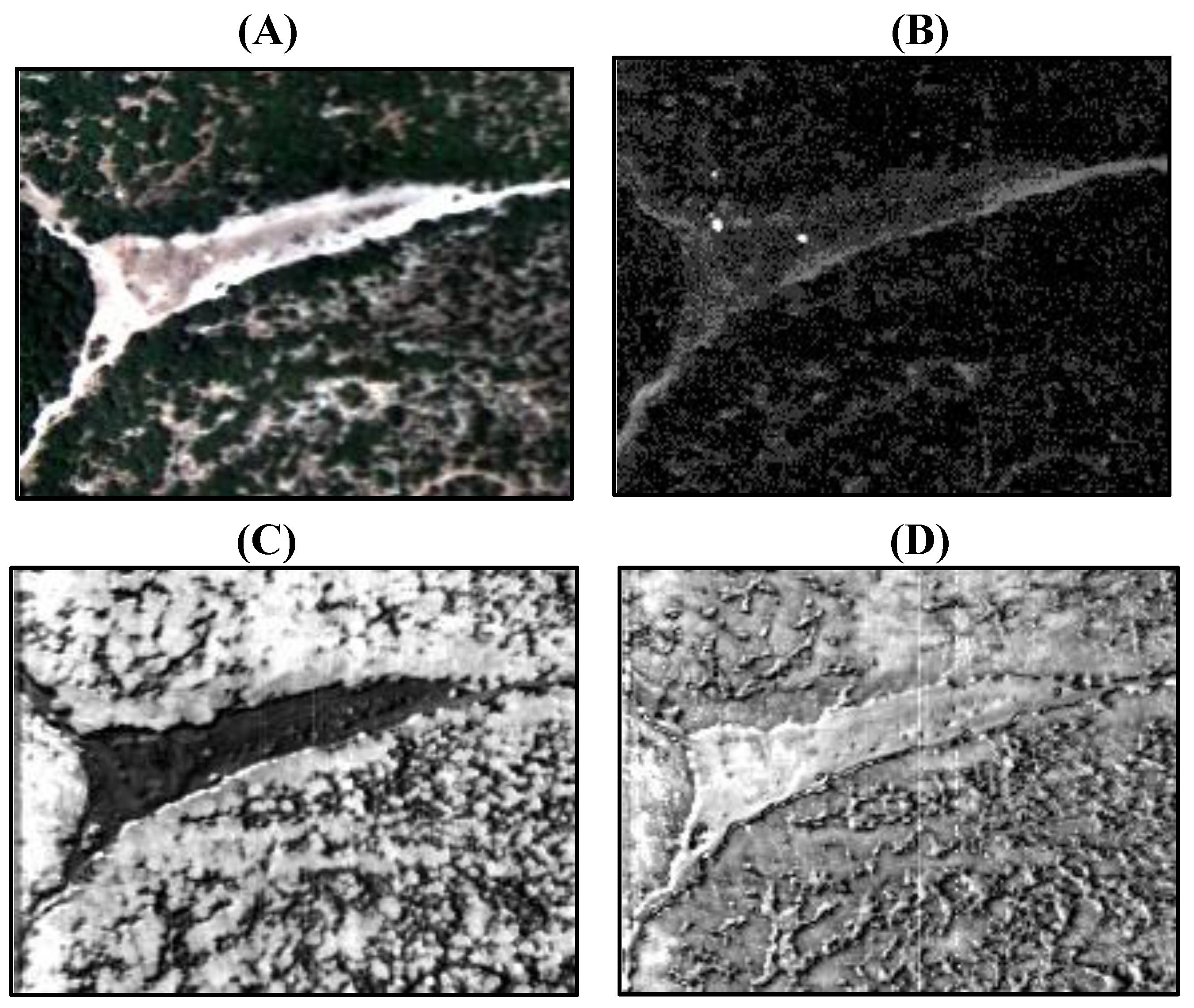 Remotesensing 03 00484 g011