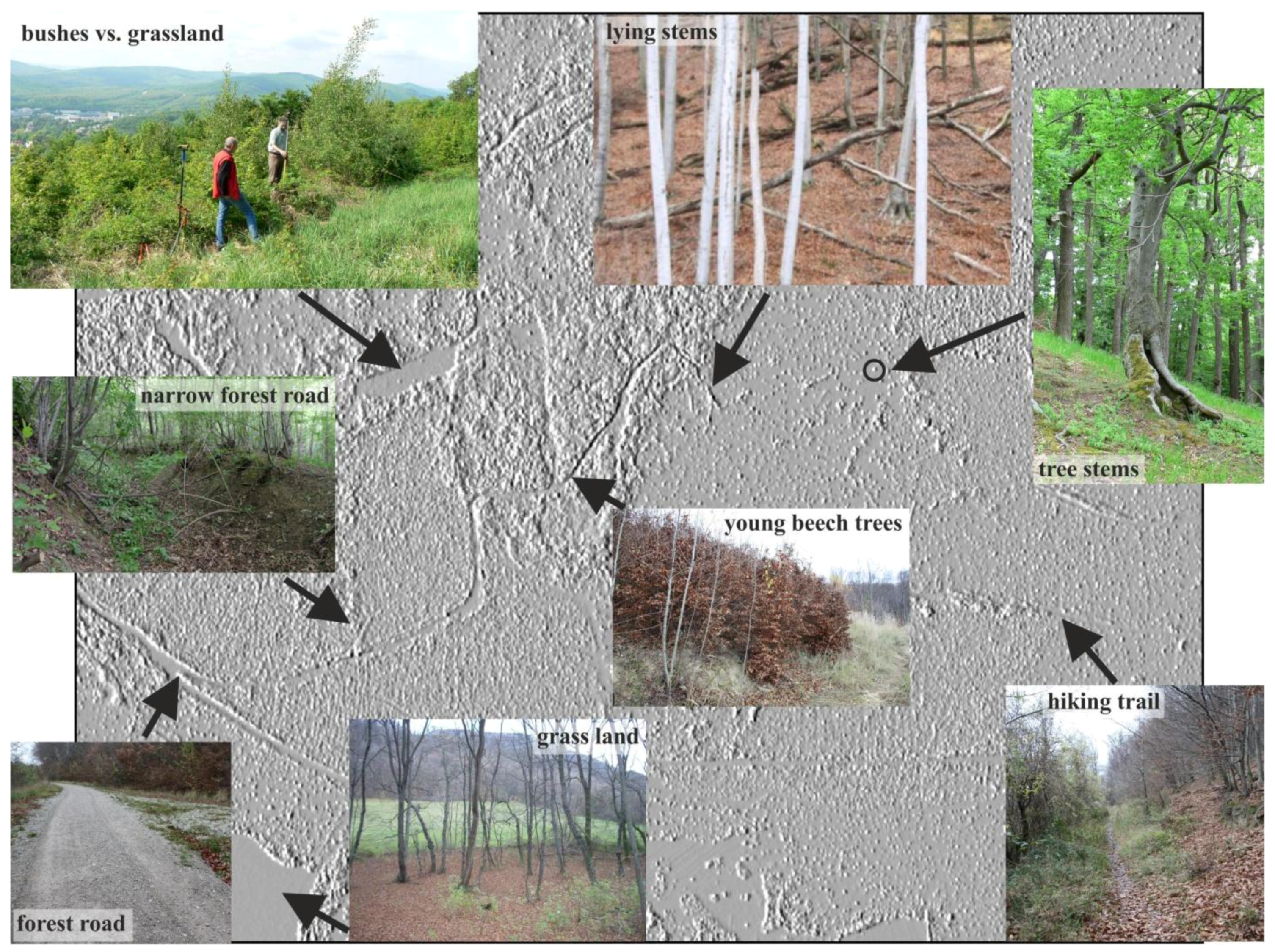 Remotesensing 03 00503 g007