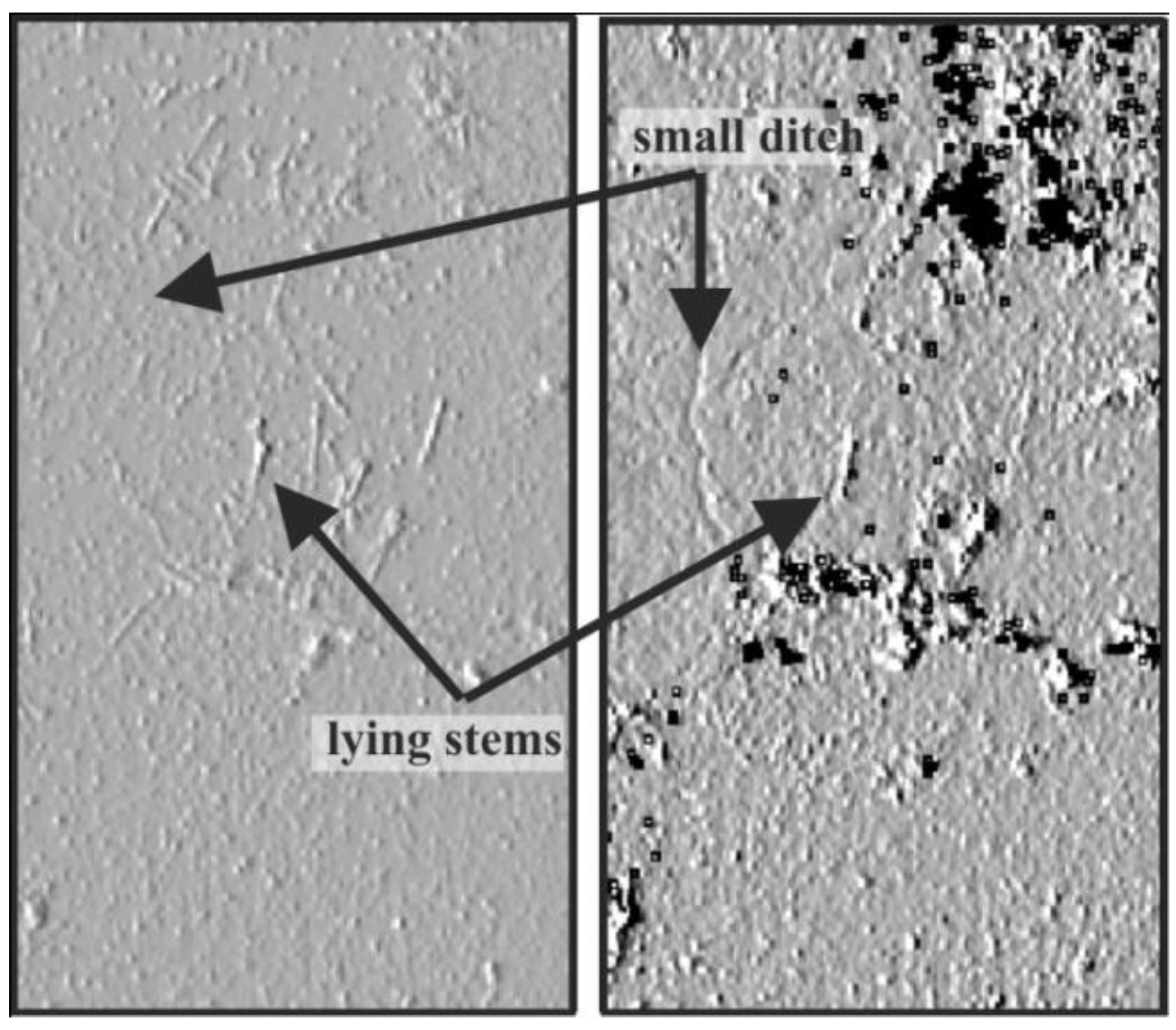Remotesensing 03 00503 g008