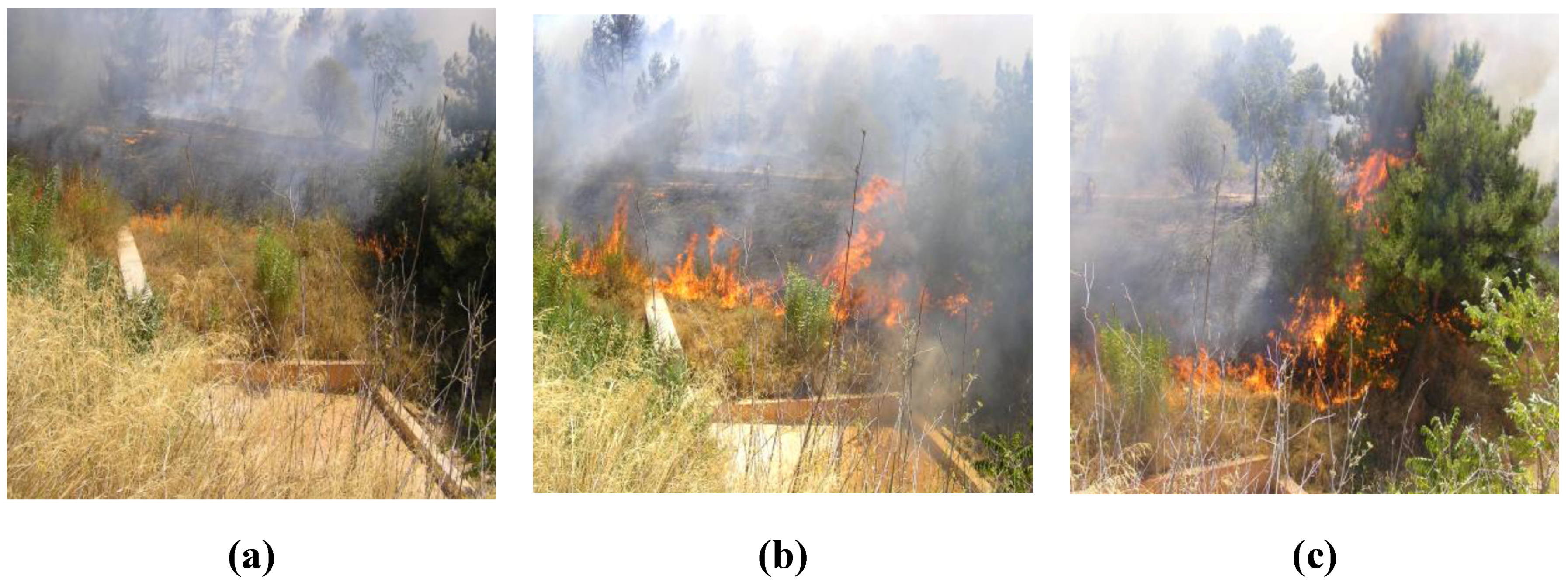 Remotesensing 03 00524 g005 1024