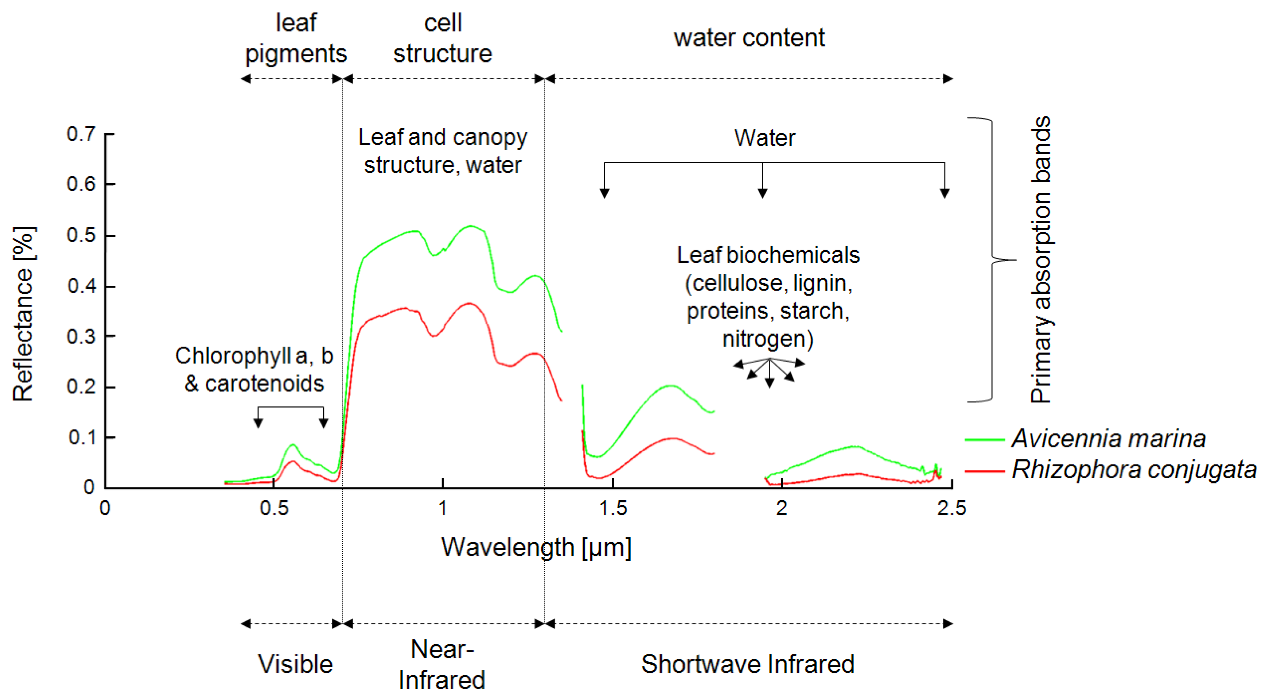 Remotesensing 03 00878 g003 1024
