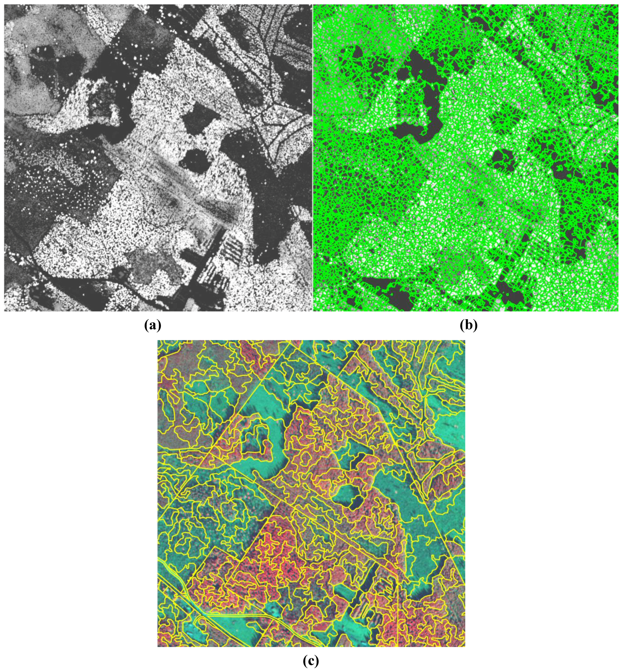 Remotesensing 03 00945 g002