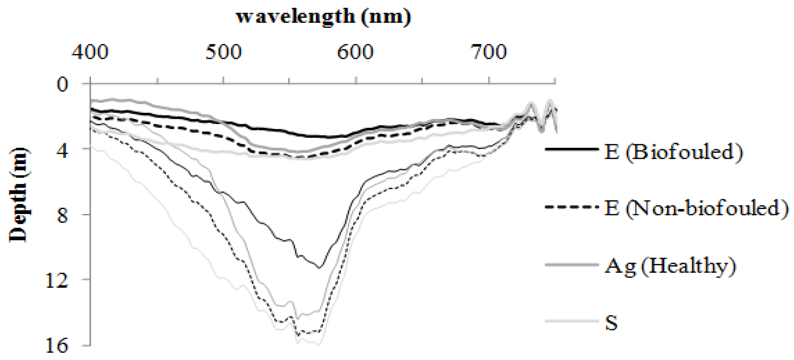 Remotesensing 03 00975 g005
