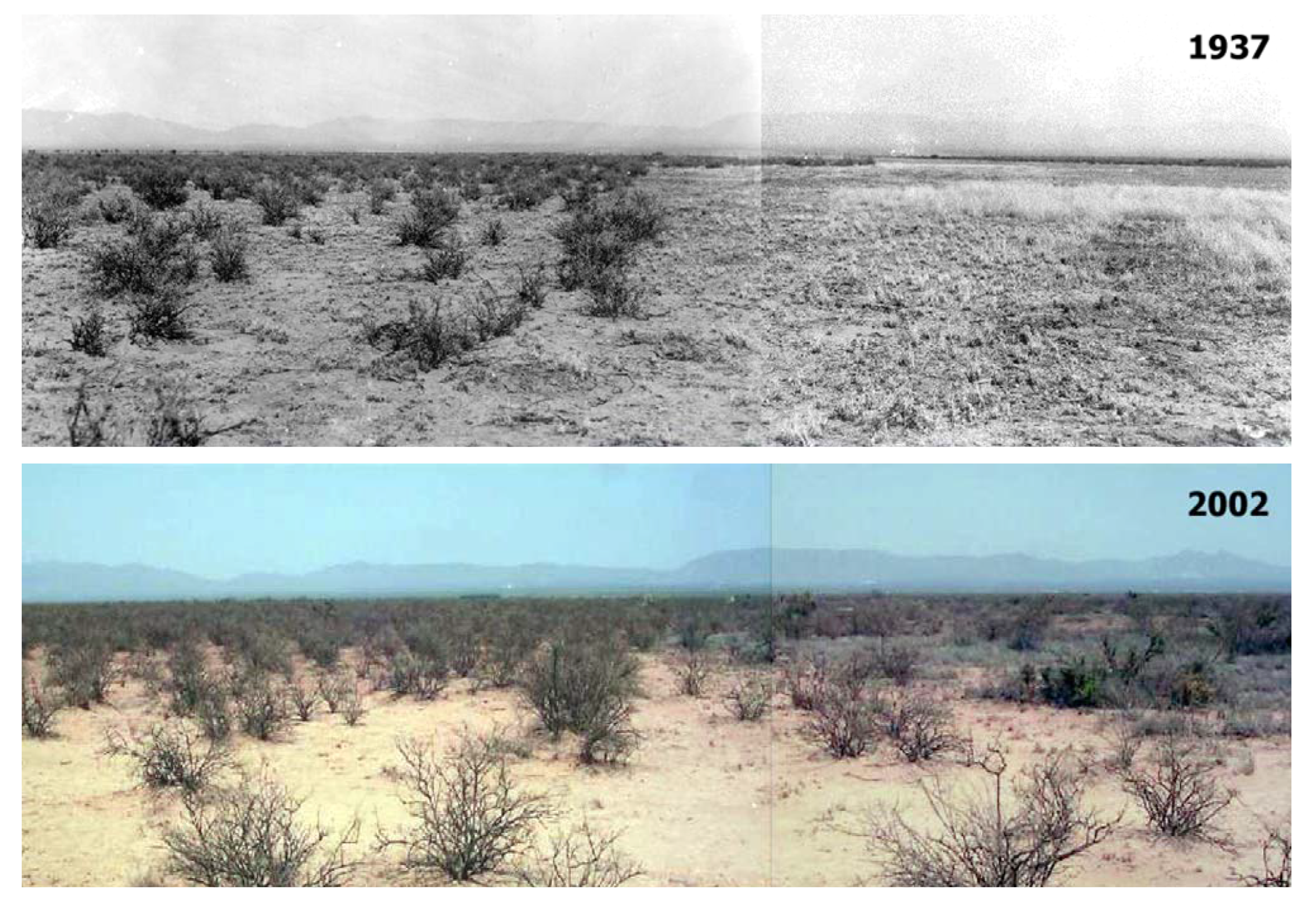 Remotesensing 03 02089 g009 1024