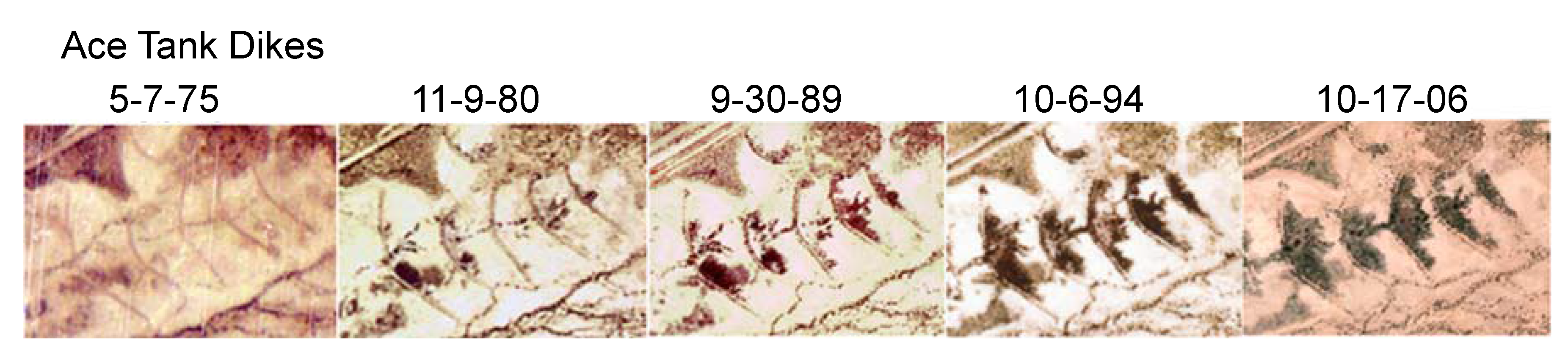 Remotesensing 03 02089 g011 1024