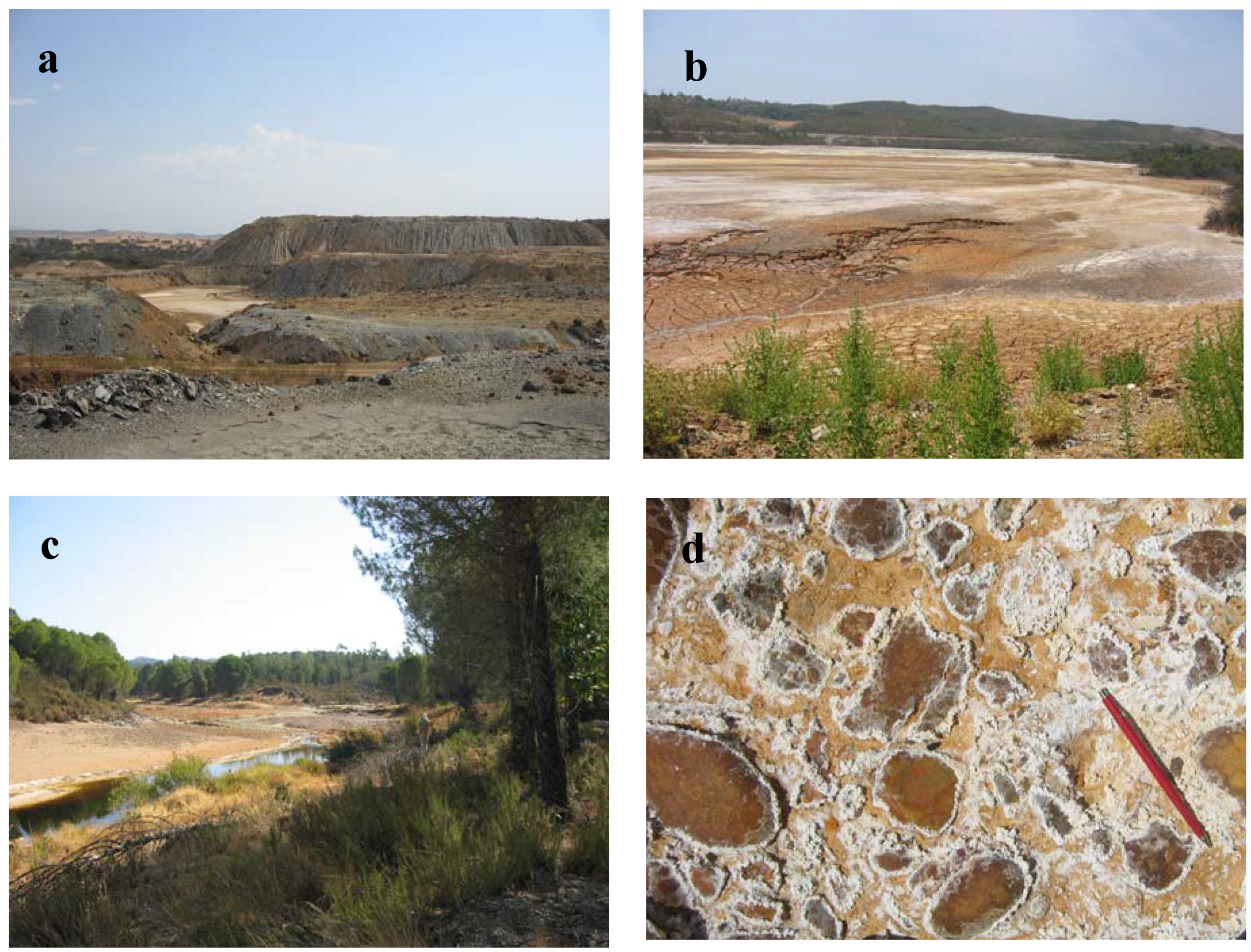 Remotesensing 03 02166 g011 1024