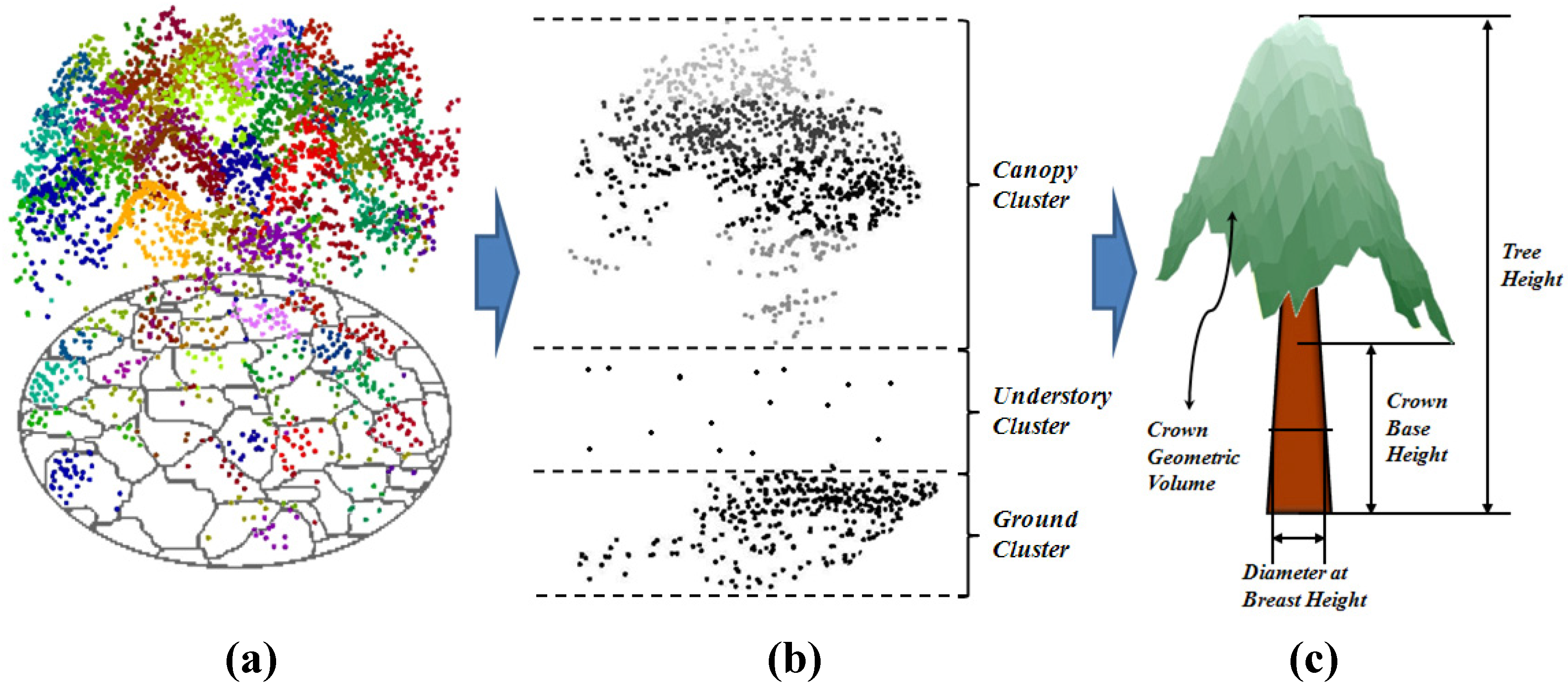 Remotesensing 03 02346 g003 1024
