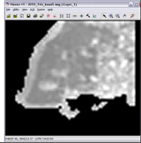 Remotesensing 03 02605 i096