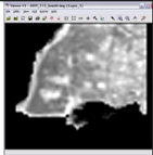Remotesensing 03 02605 i104