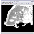 Remotesensing 03 02605 i127