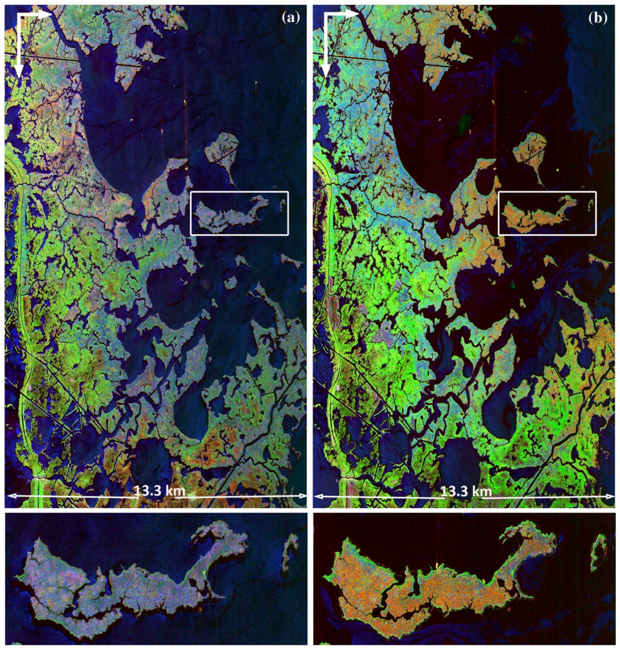 Remotesensing 03 02630 g009 1024