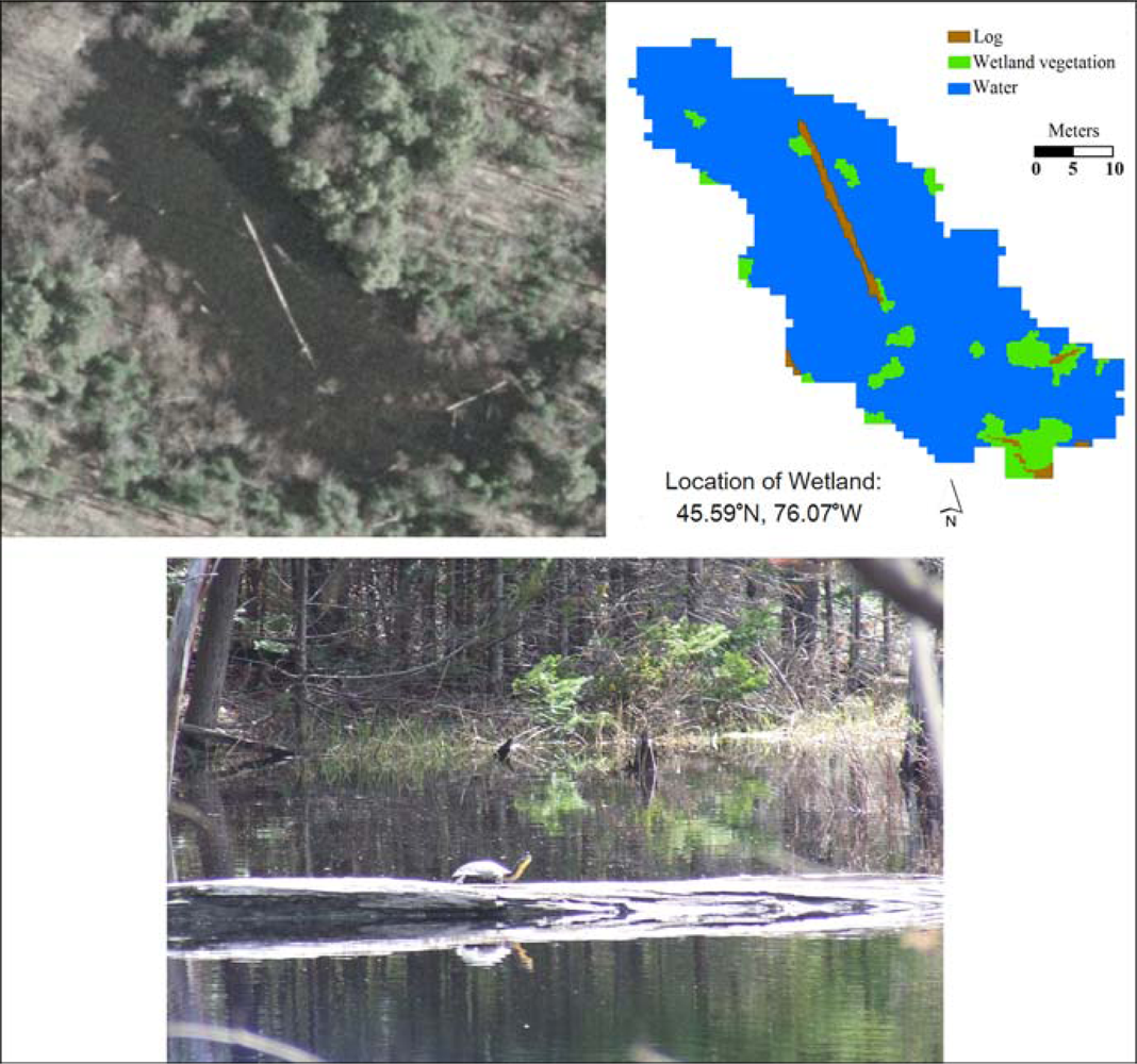 Remotesensing 04 00194f10