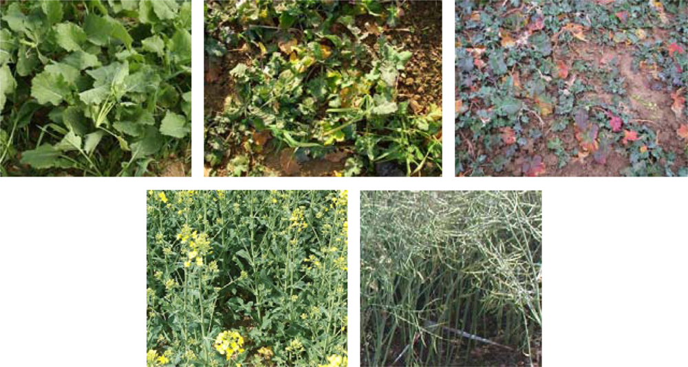 Remotesensing 04 00247f5 1024