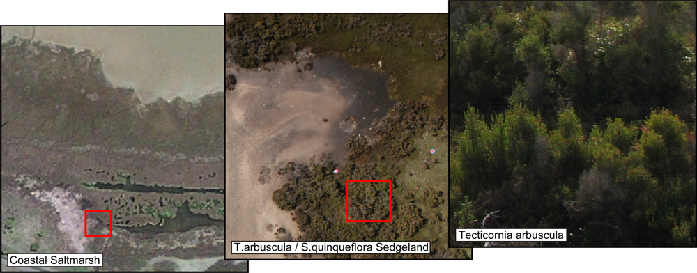 Remotesensing 04 01462f1