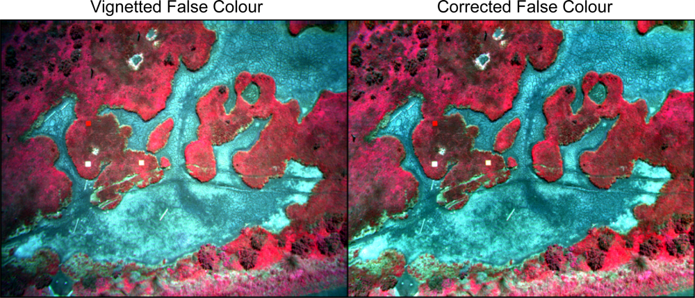 Remotesensing 04 01462f25