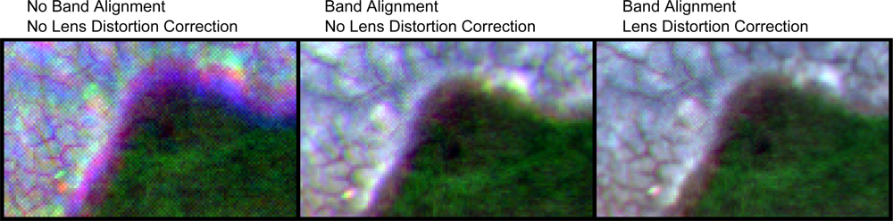 Remotesensing 04 01462f26