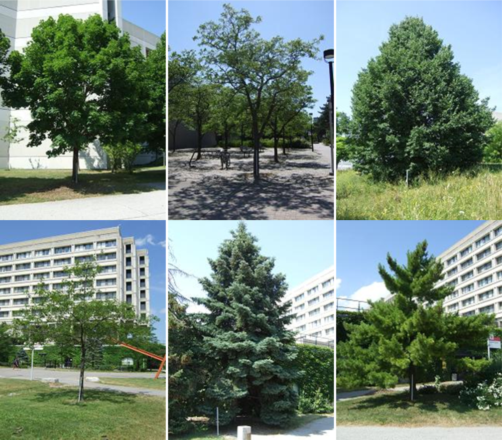 Remotesensing 04 01741f2