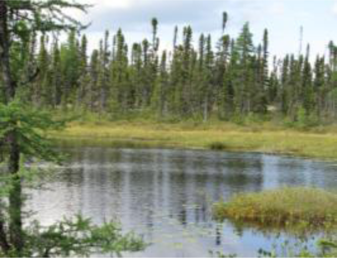 Remotesensing 04 01887i02