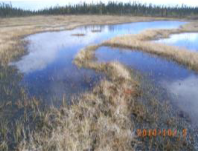 Remotesensing 04 01887i03