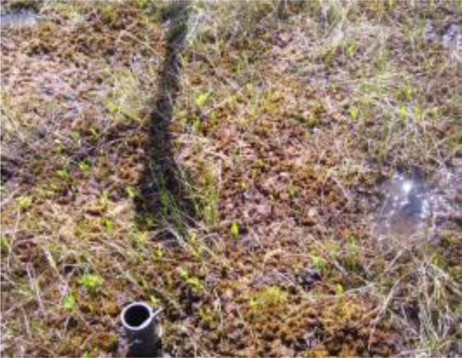 Remotesensing 04 01887i06