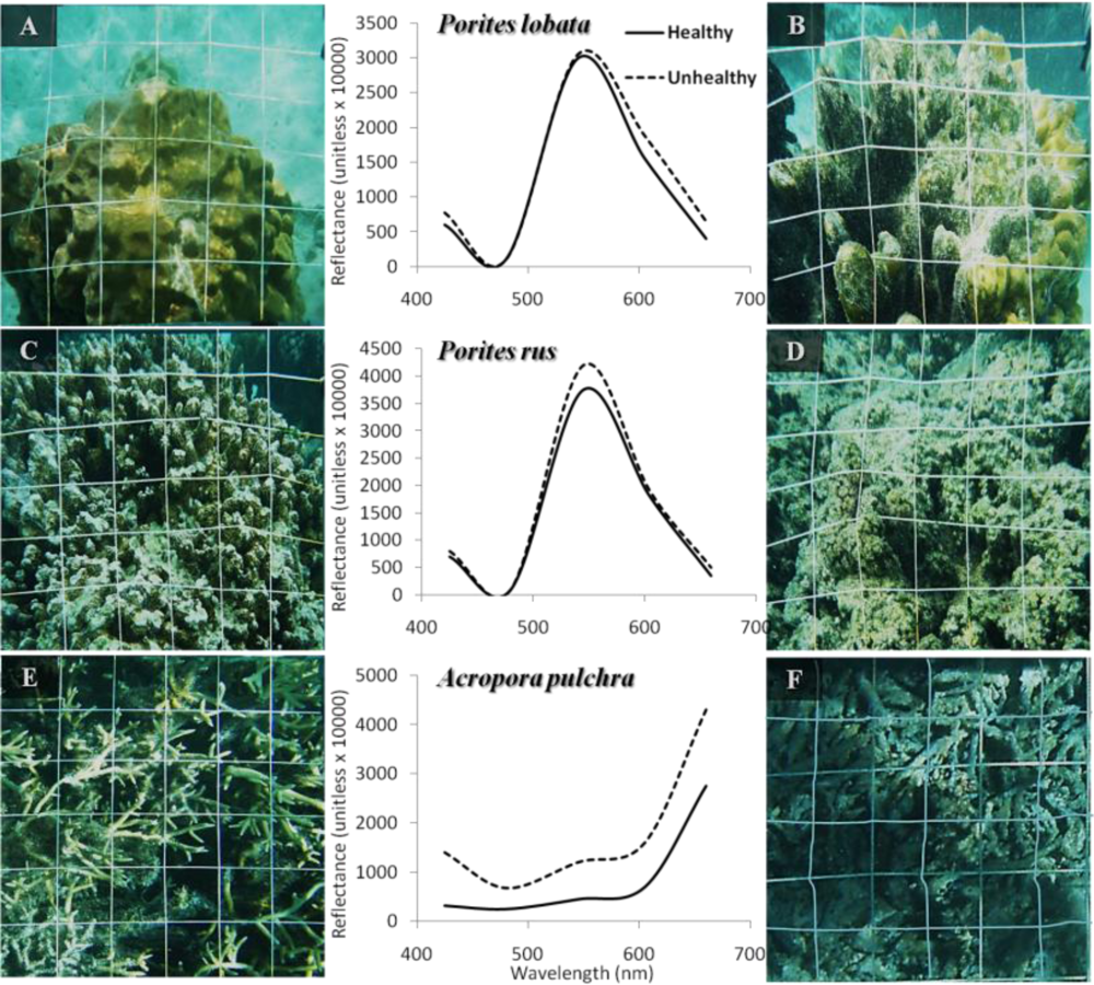 Remotesensing 04 03244f3