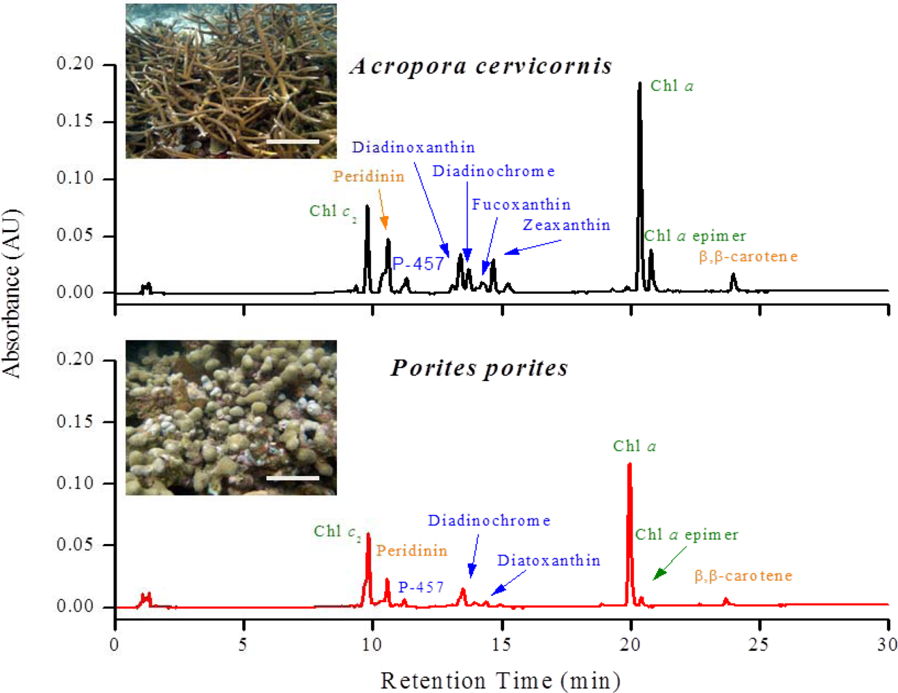 Remotesensing 04 03813f2
