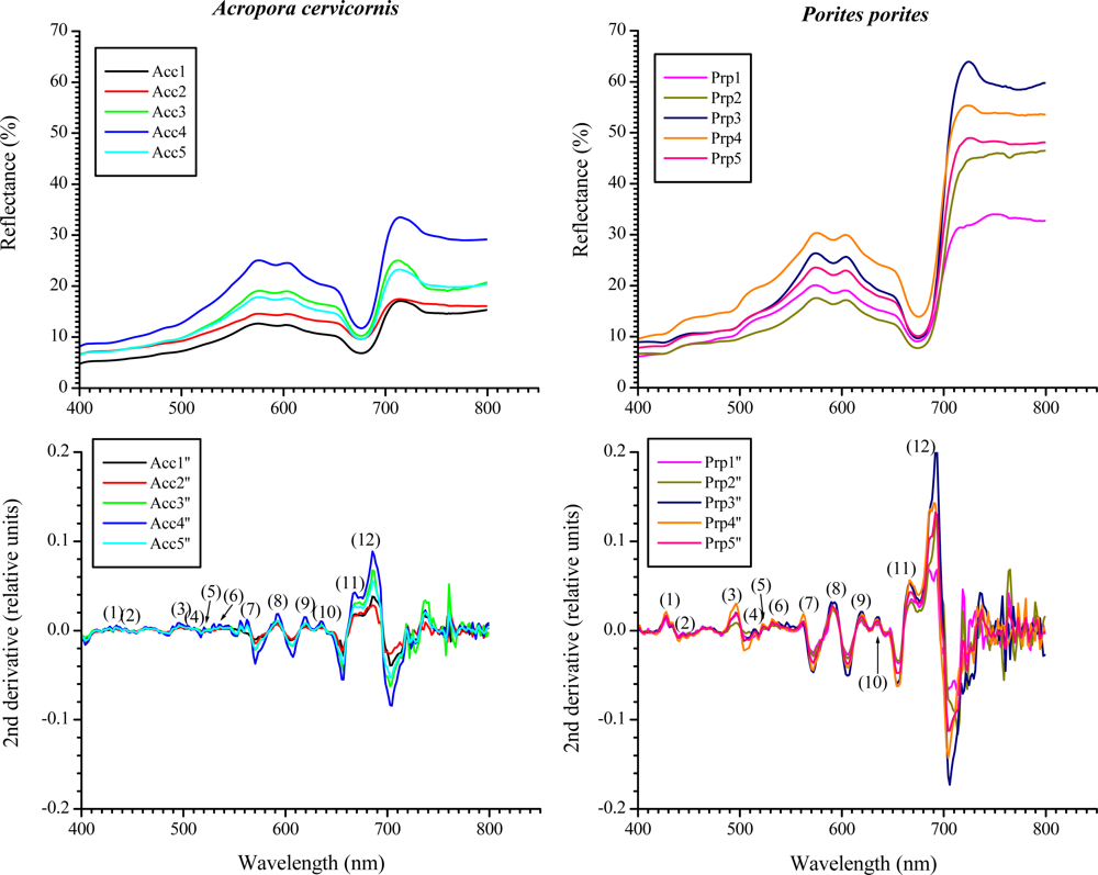 Remotesensing 04 03813f4