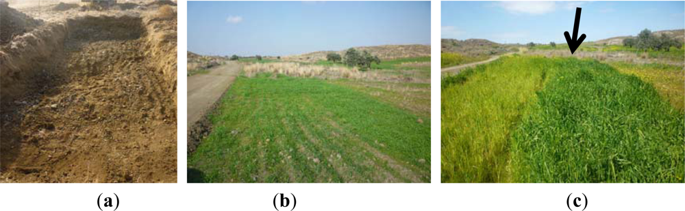 Remotesensing 04 03892f1