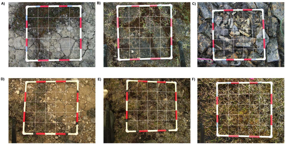 Remotesensing 04 03948f7 1024