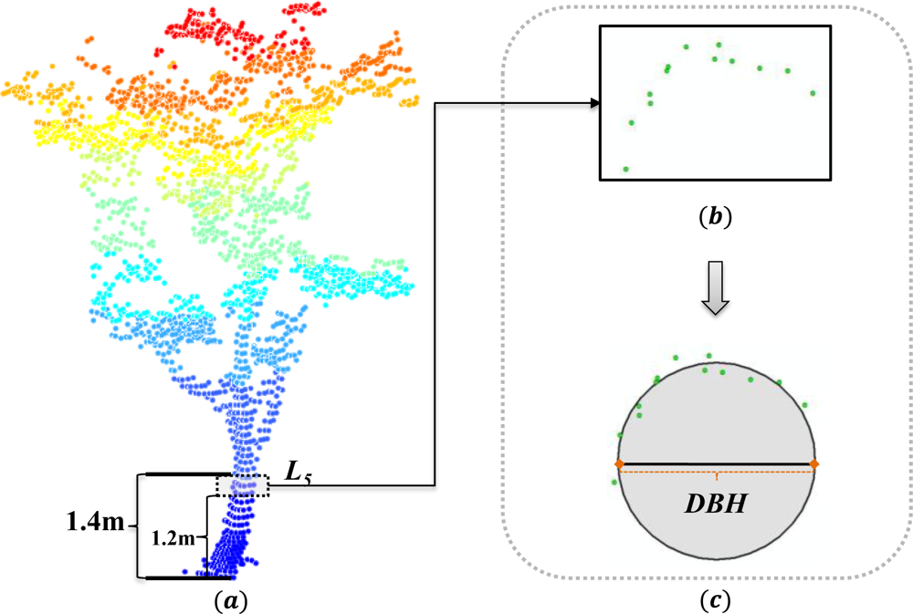 Remotesensing 05 00584f11 1024