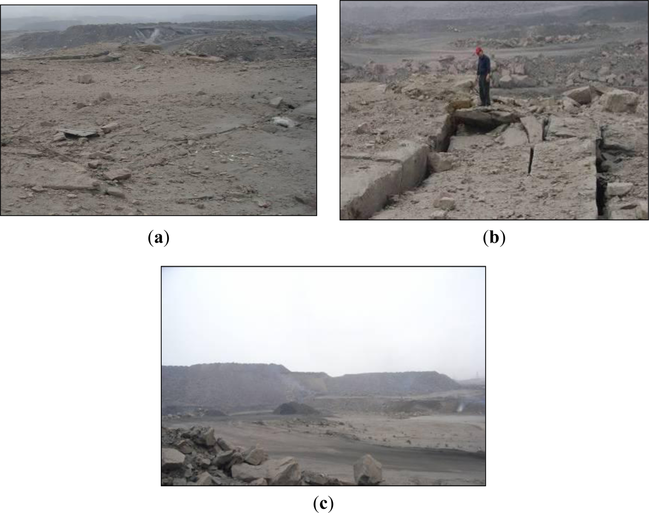 Remotesensing 05 01152f2 1024