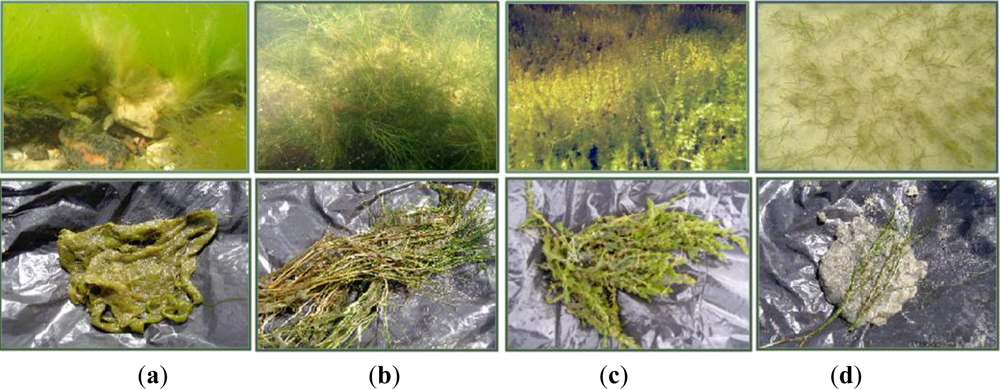 Remotesensing 05 02451f2