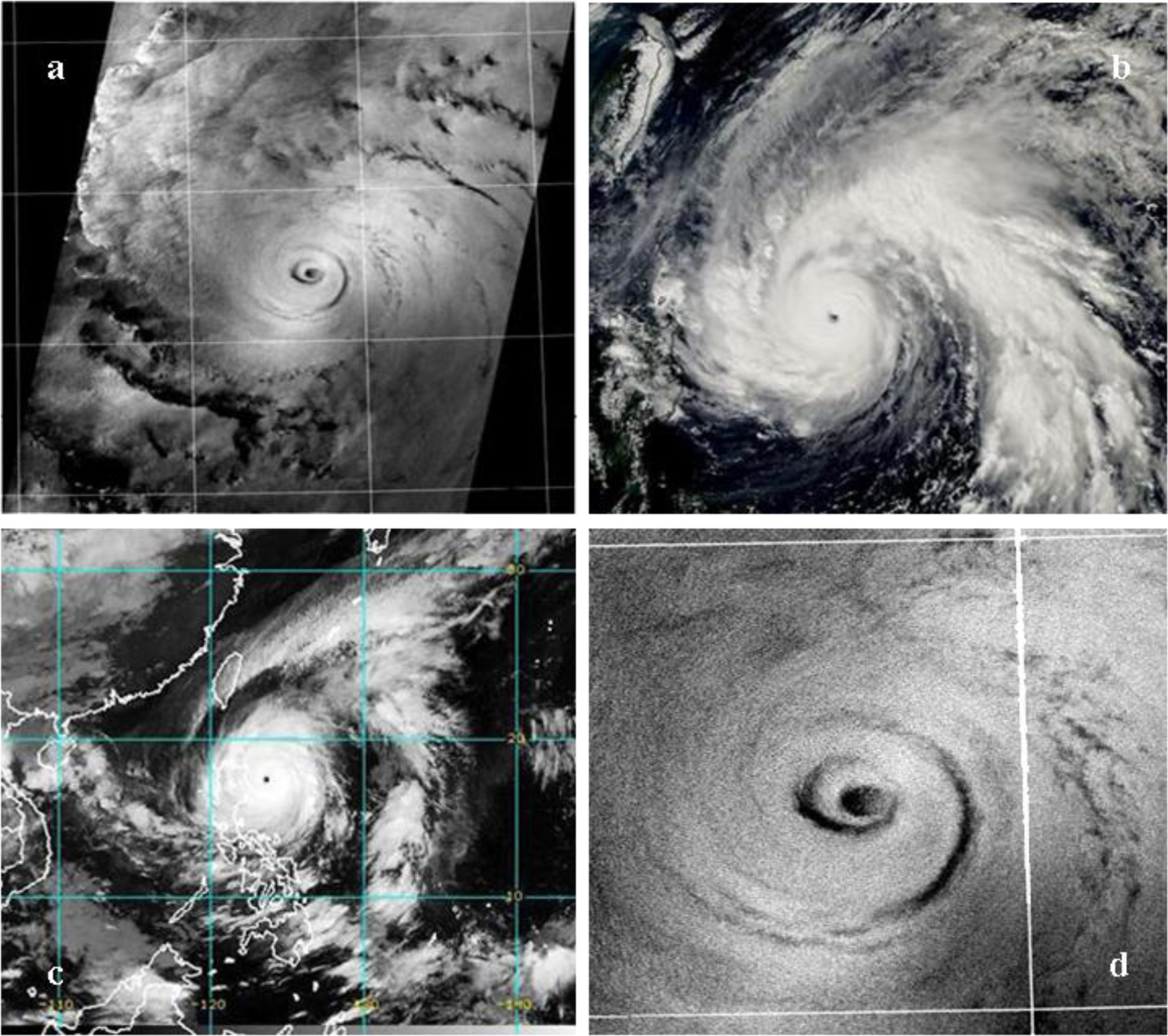 Remotesensing 05 03172f2 1024