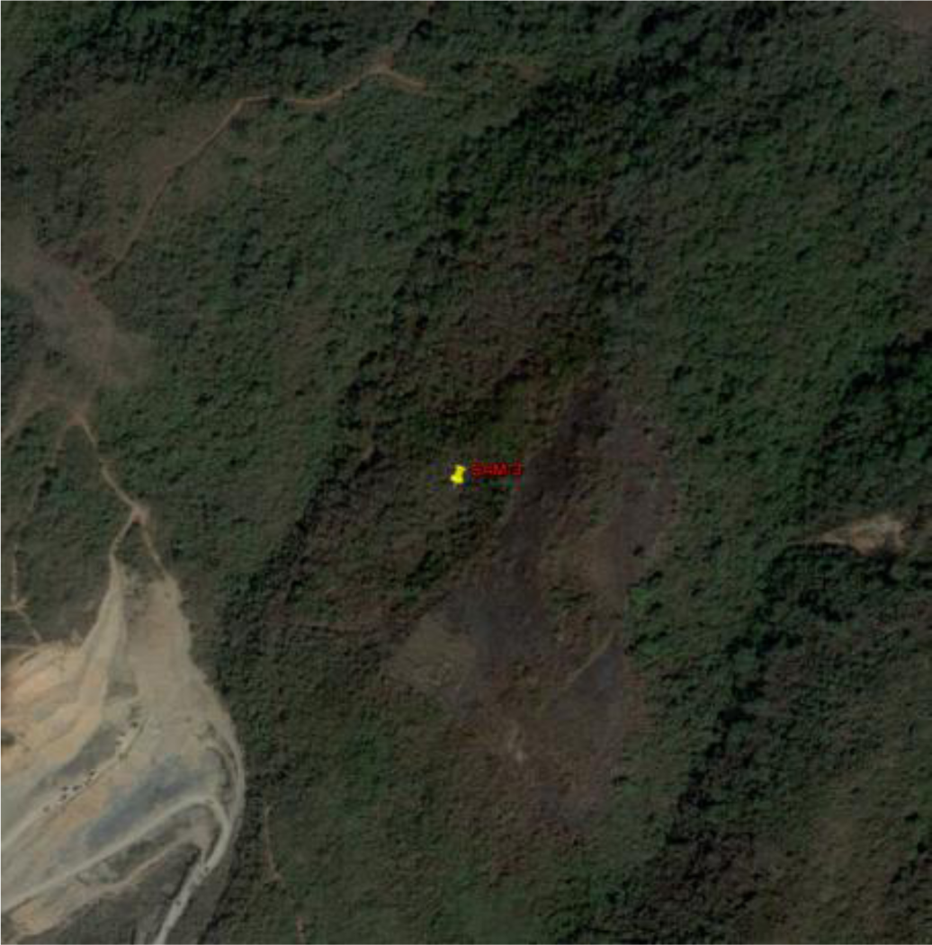 Remotesensing 05 03476i11