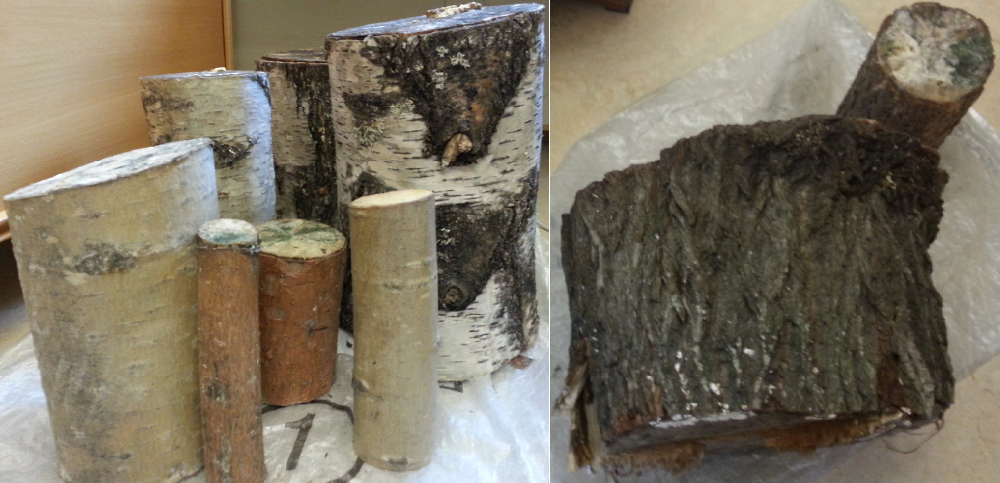 Remotesensing 05 04839f1