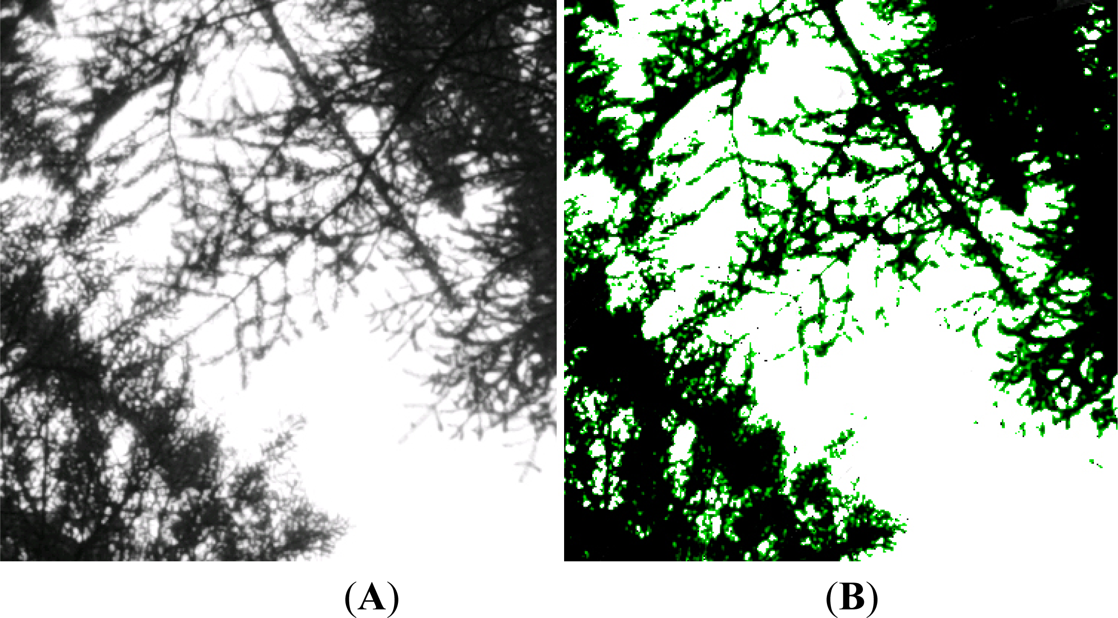 Remotesensing 05 05040f8