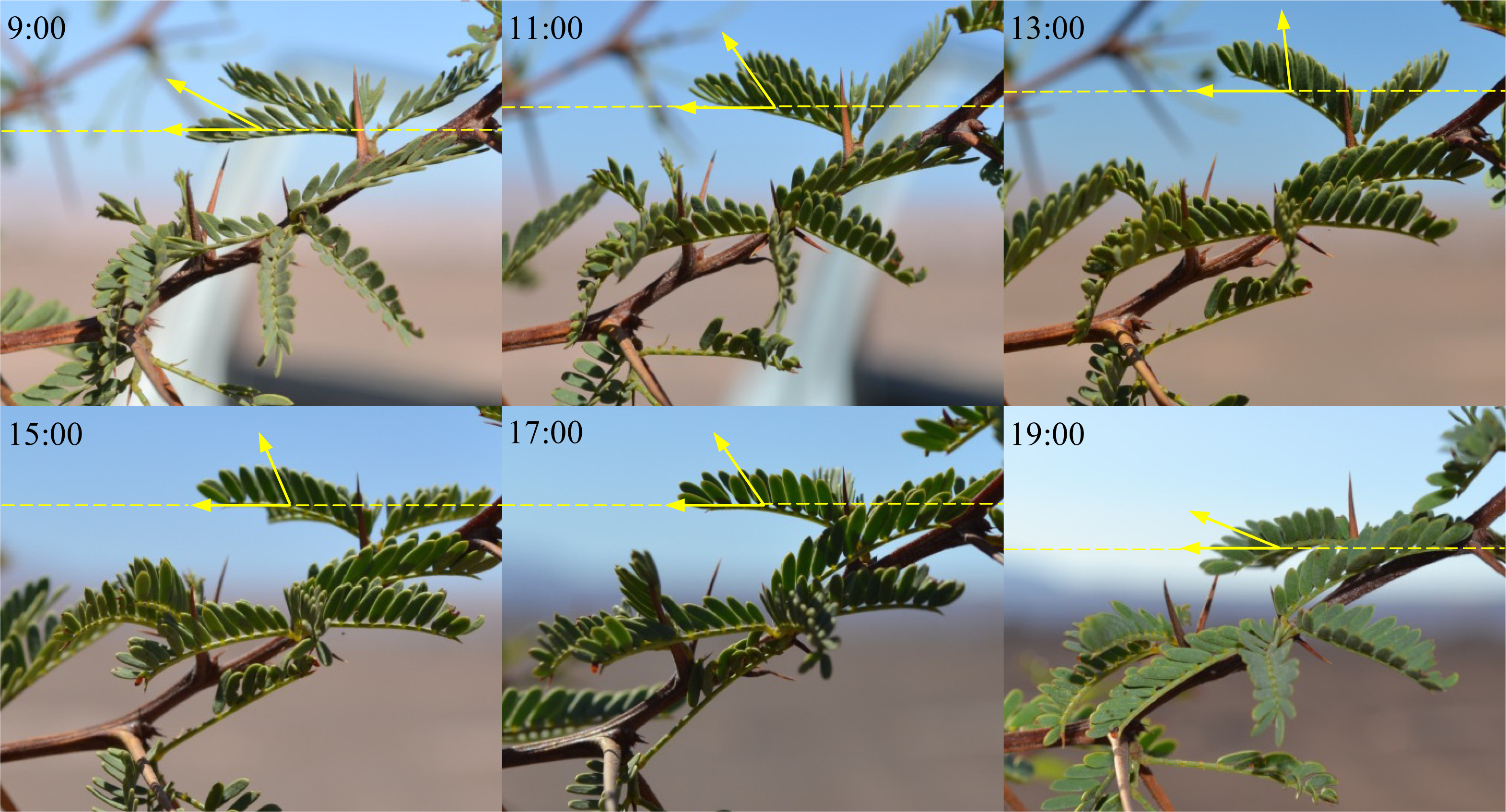 Remotesensing 05 05064f11