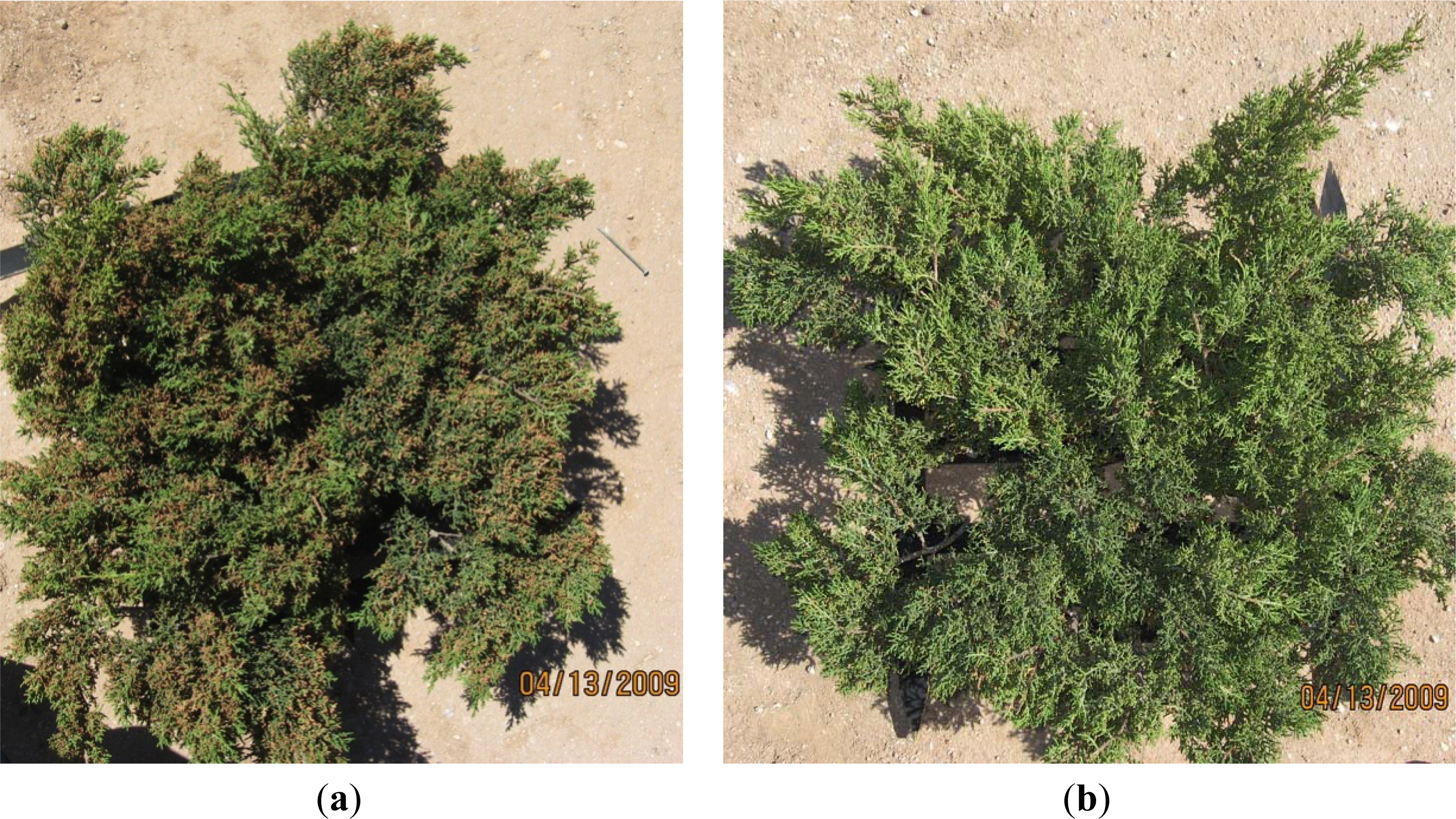 Remotesensing 05 05330f1