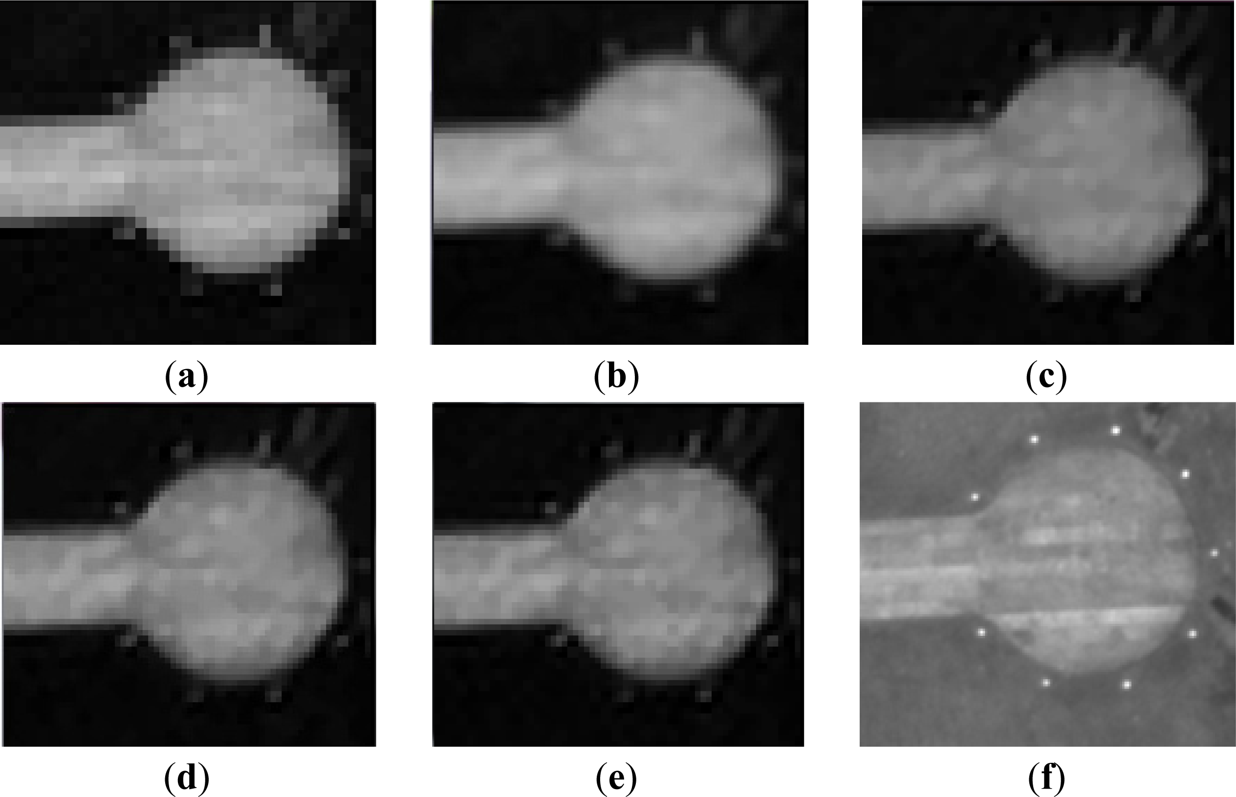 Remotesensing 06 00637f11 1024