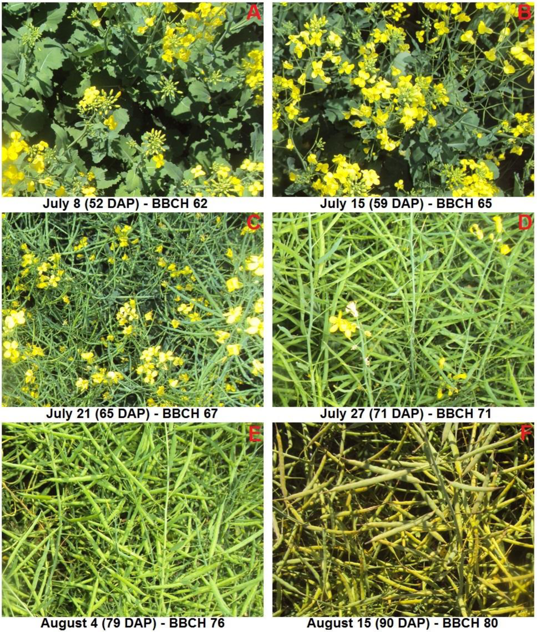 Remotesensing 06 00925f2 1024