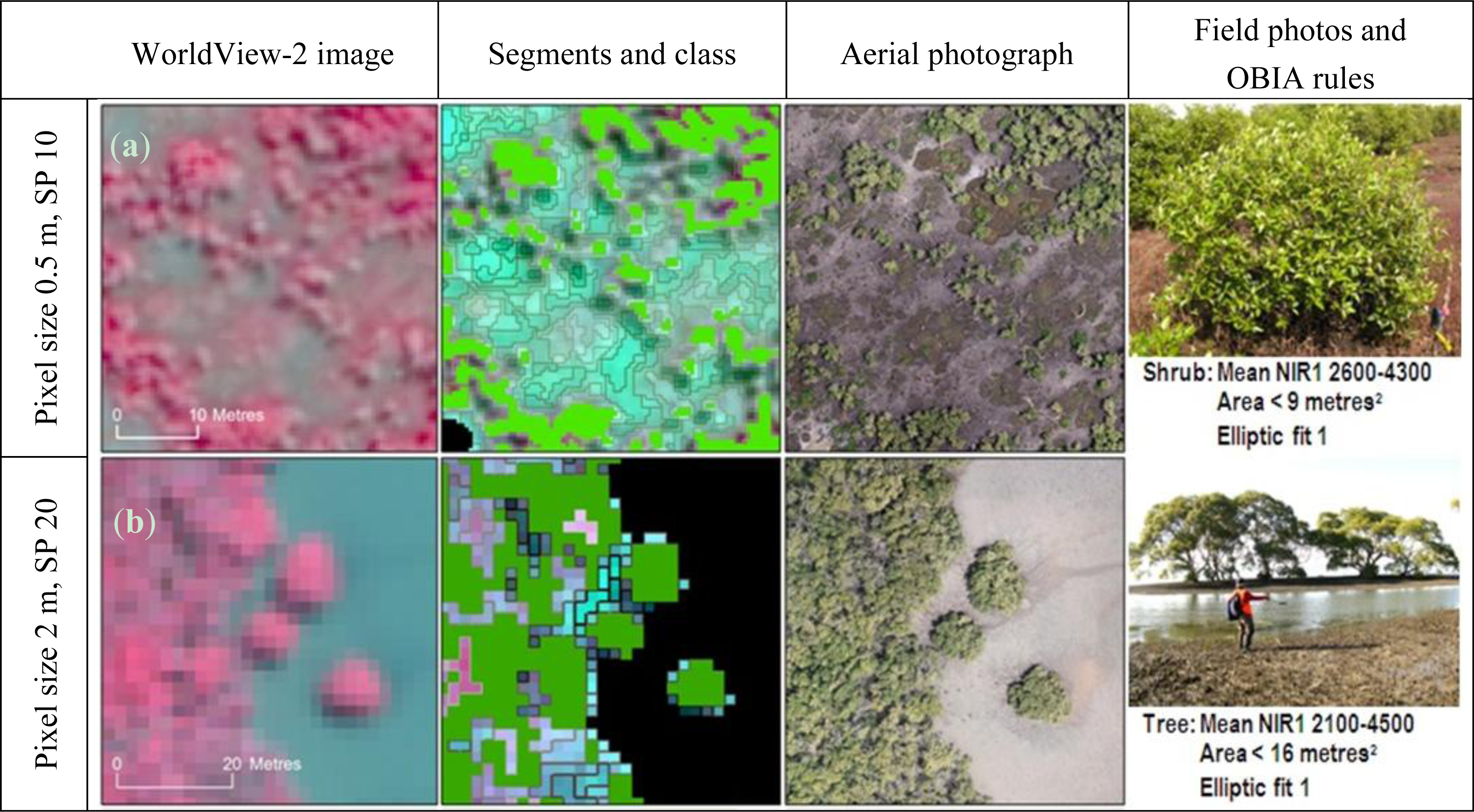 Remotesensing 06 00984f10a