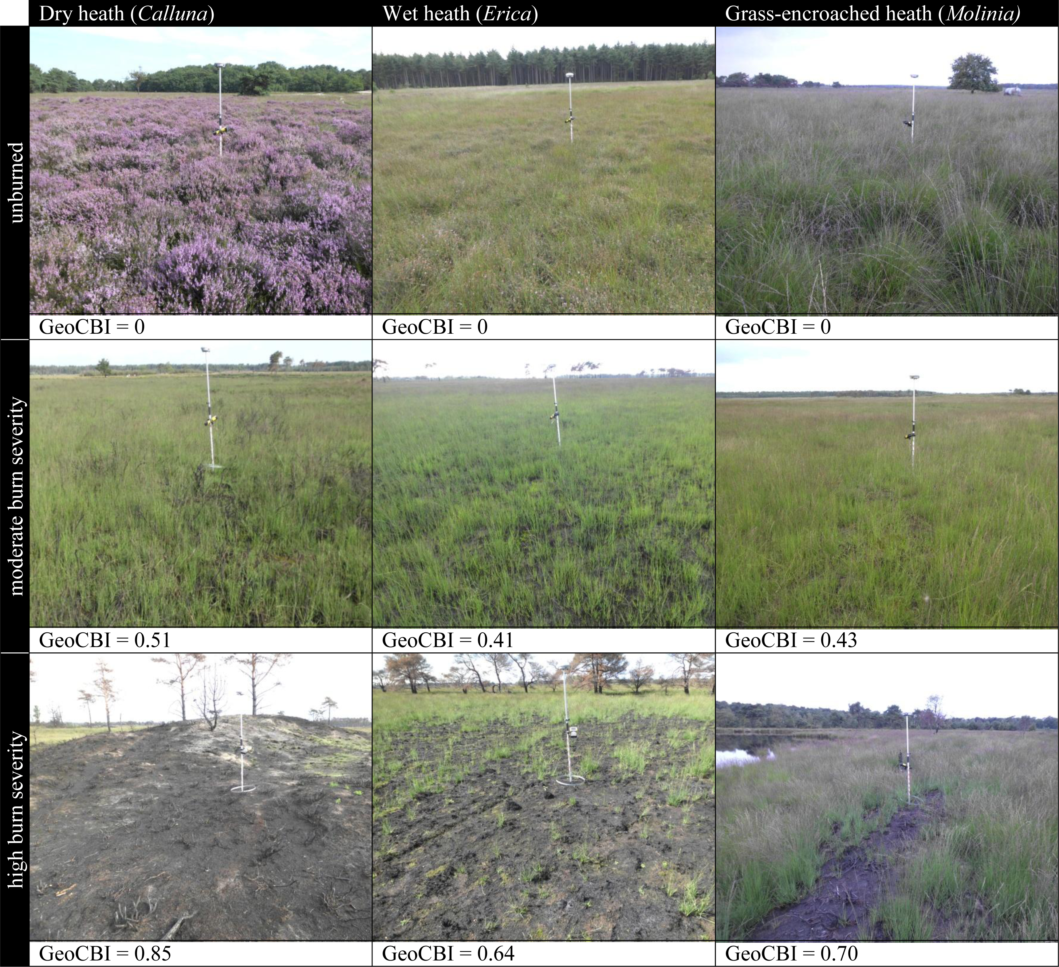 Remotesensing 06 01803f3