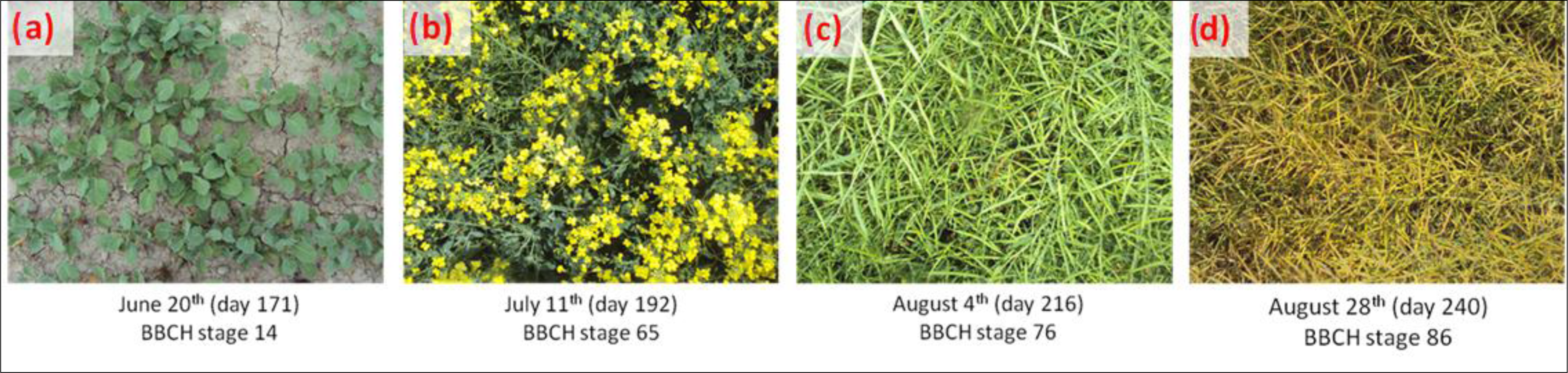 Remotesensing 06 02343f2