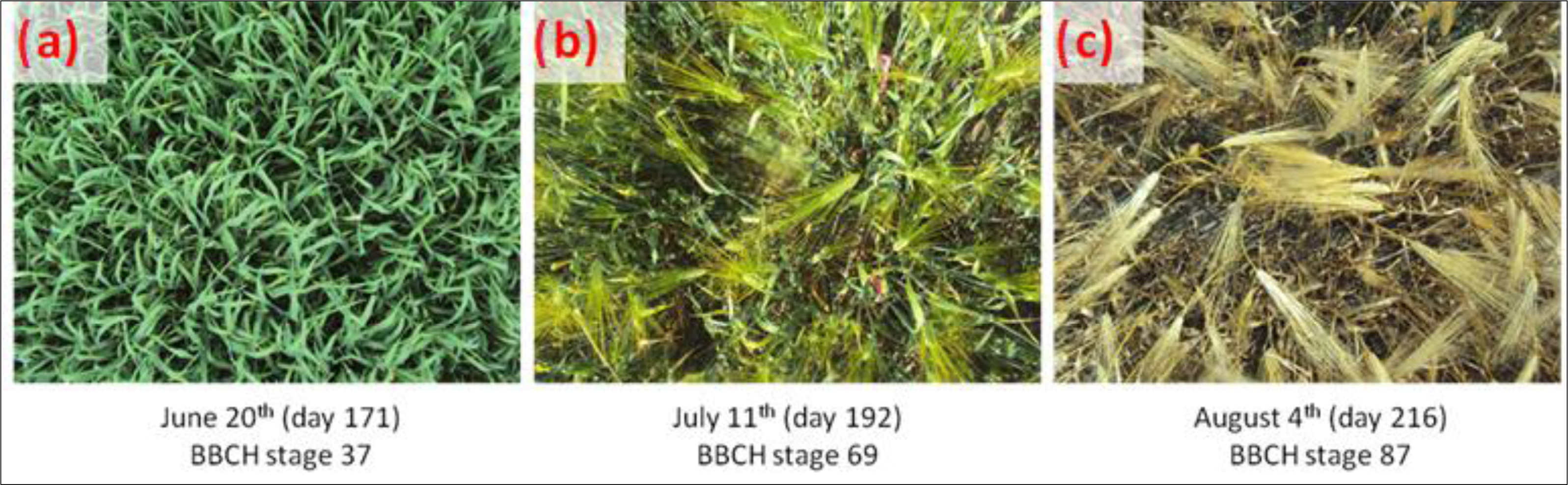 Remotesensing 06 02343f4