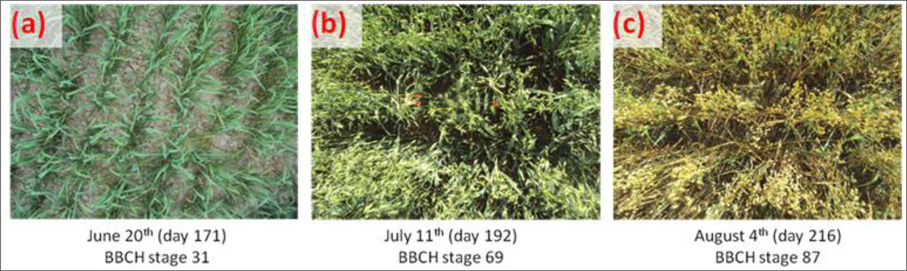 Remotesensing 06 02343f5