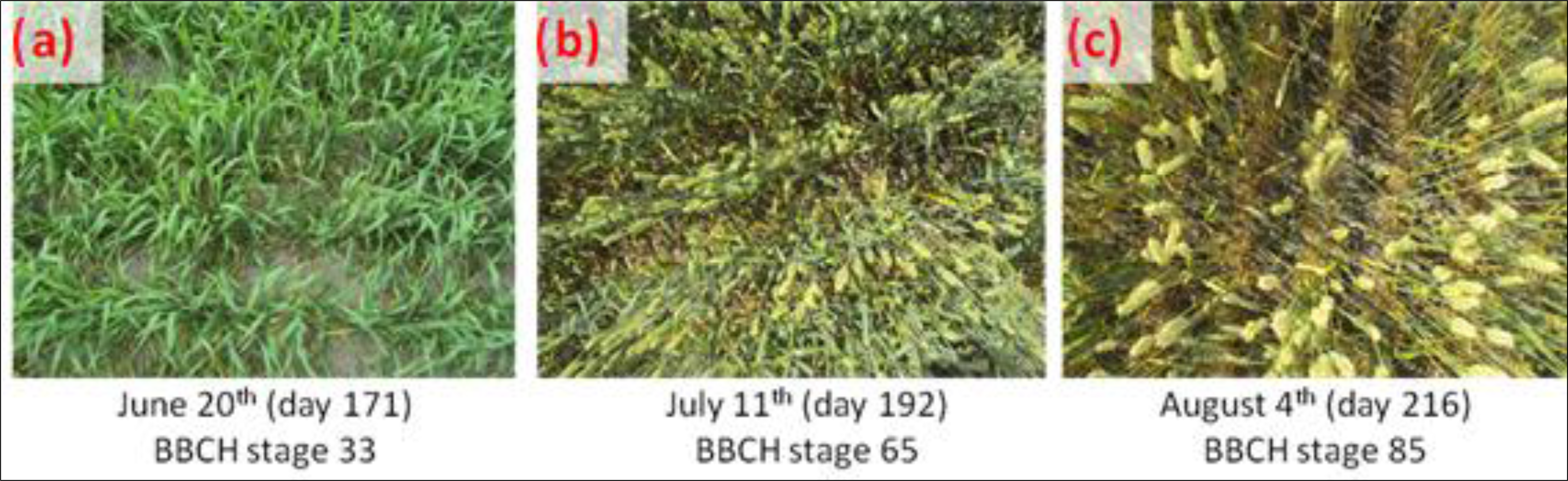 Remotesensing 06 02343f6