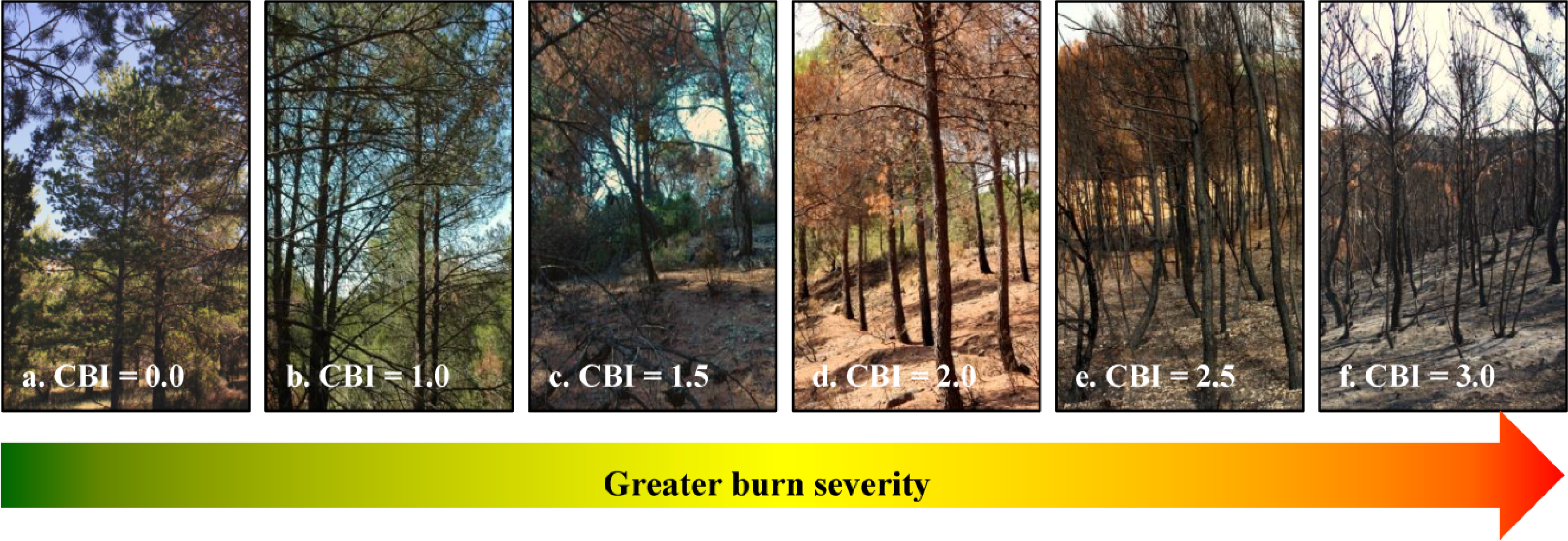 Remotesensing 06 04240f4 1024