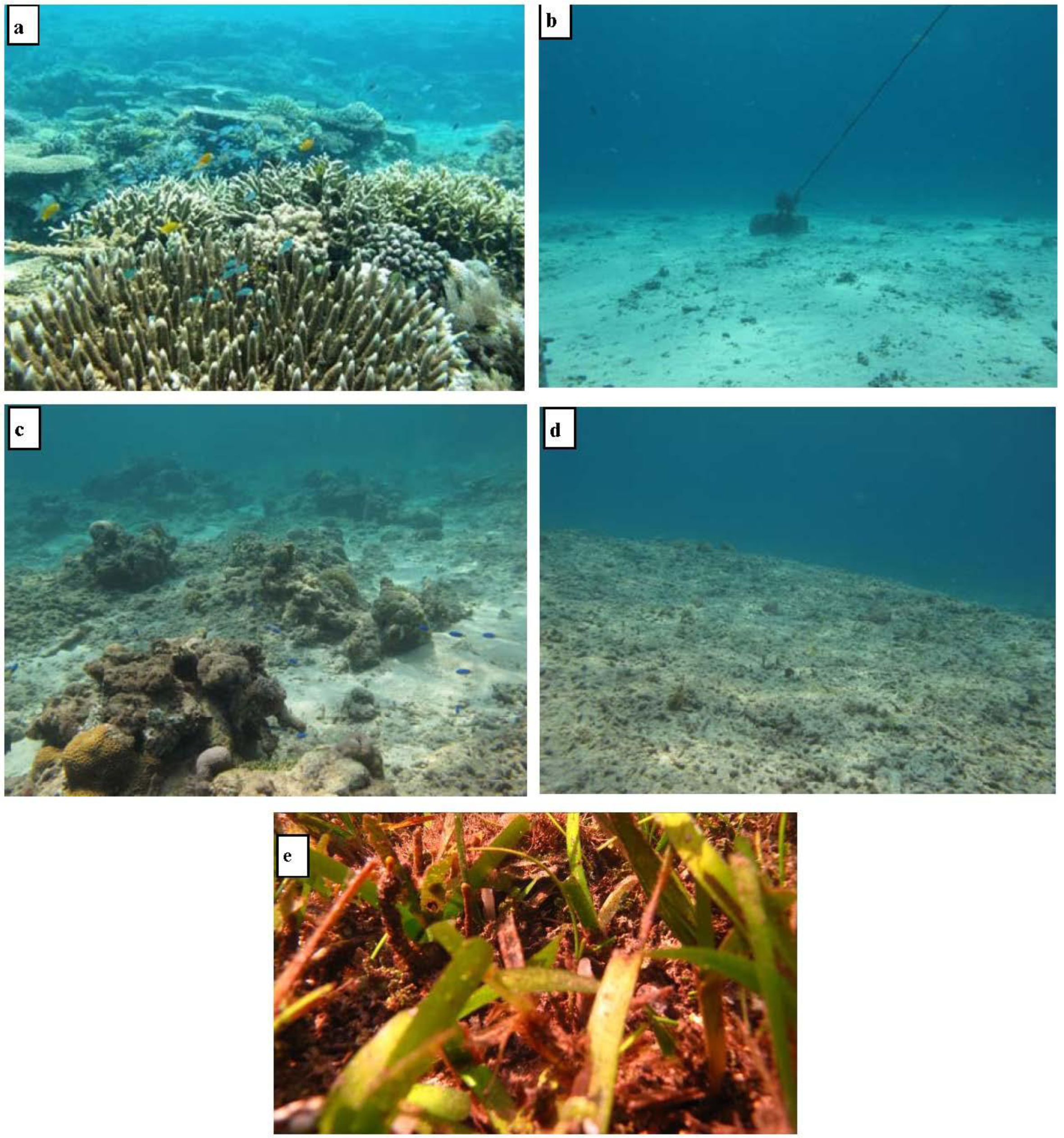 Remotesensing 06 04454f3 1024