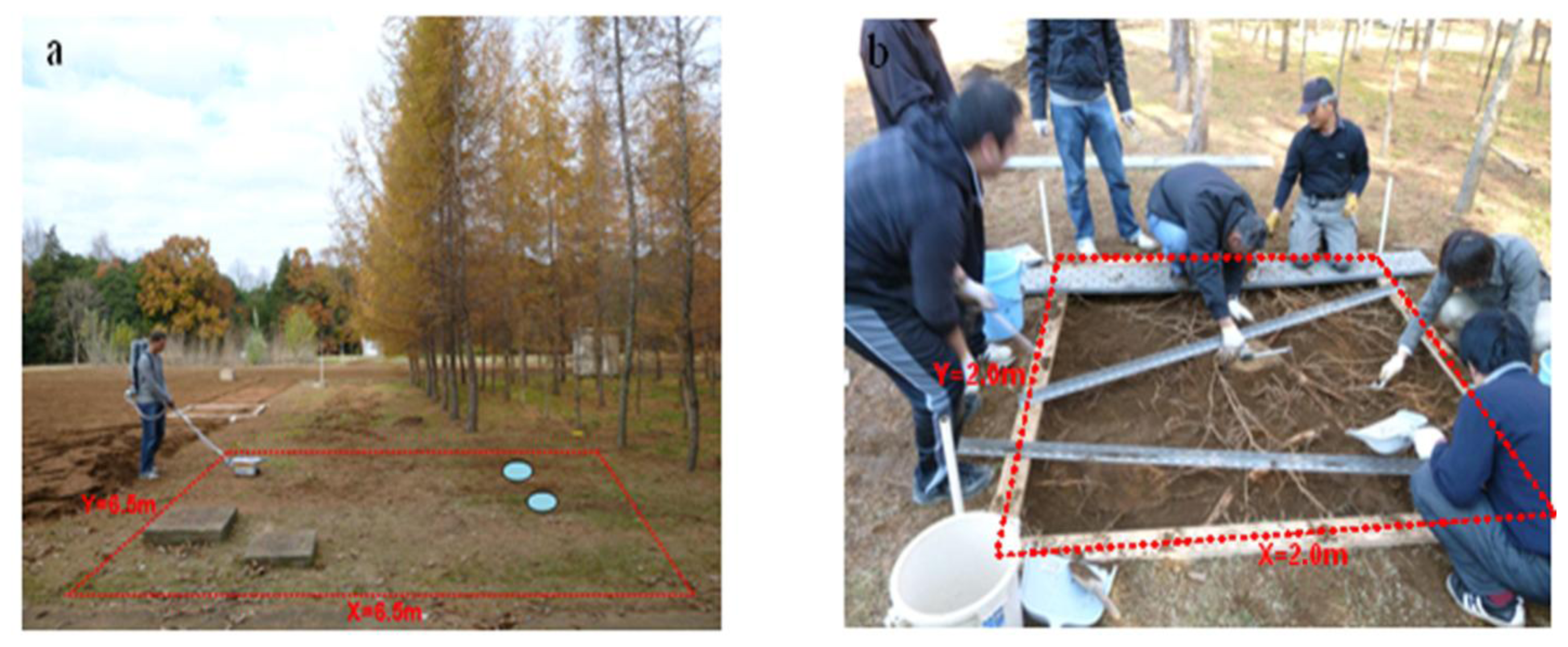 Remotesensing 06 05754f1